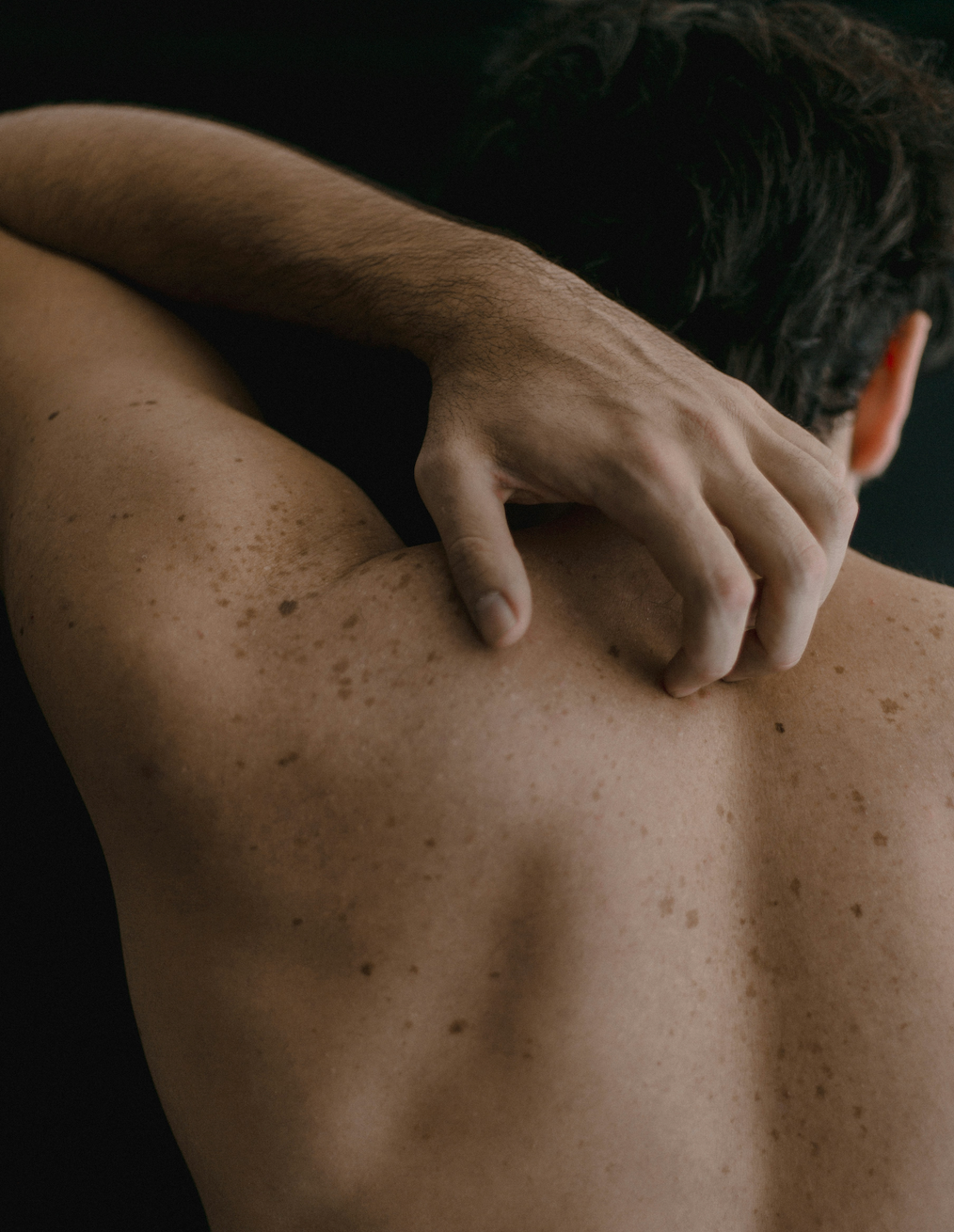 BODY LOTION + MOISTURIZER